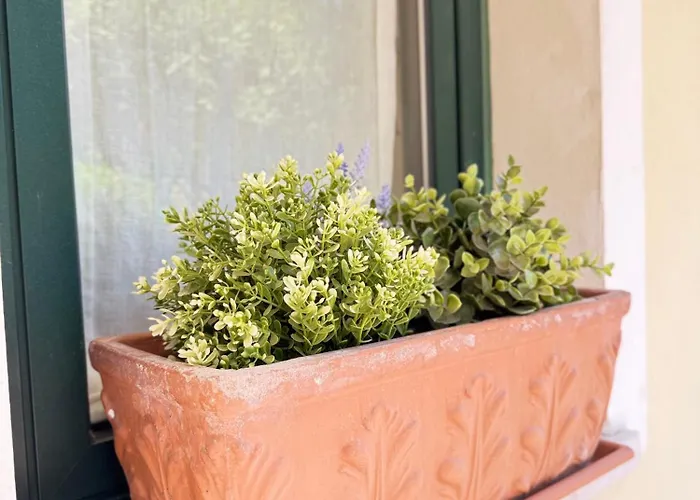 Appartement La Perla